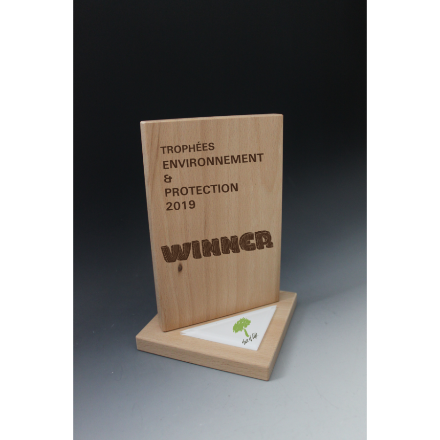 Trophée Bois RECTANGLE - TRB6 Tryje-trophée