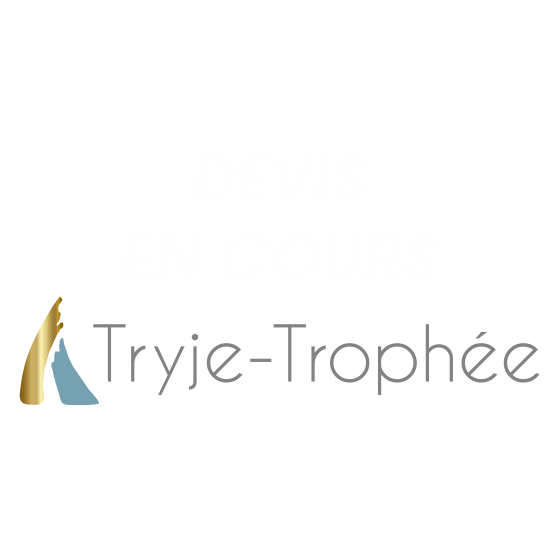 DV31504 Tryje-trophée