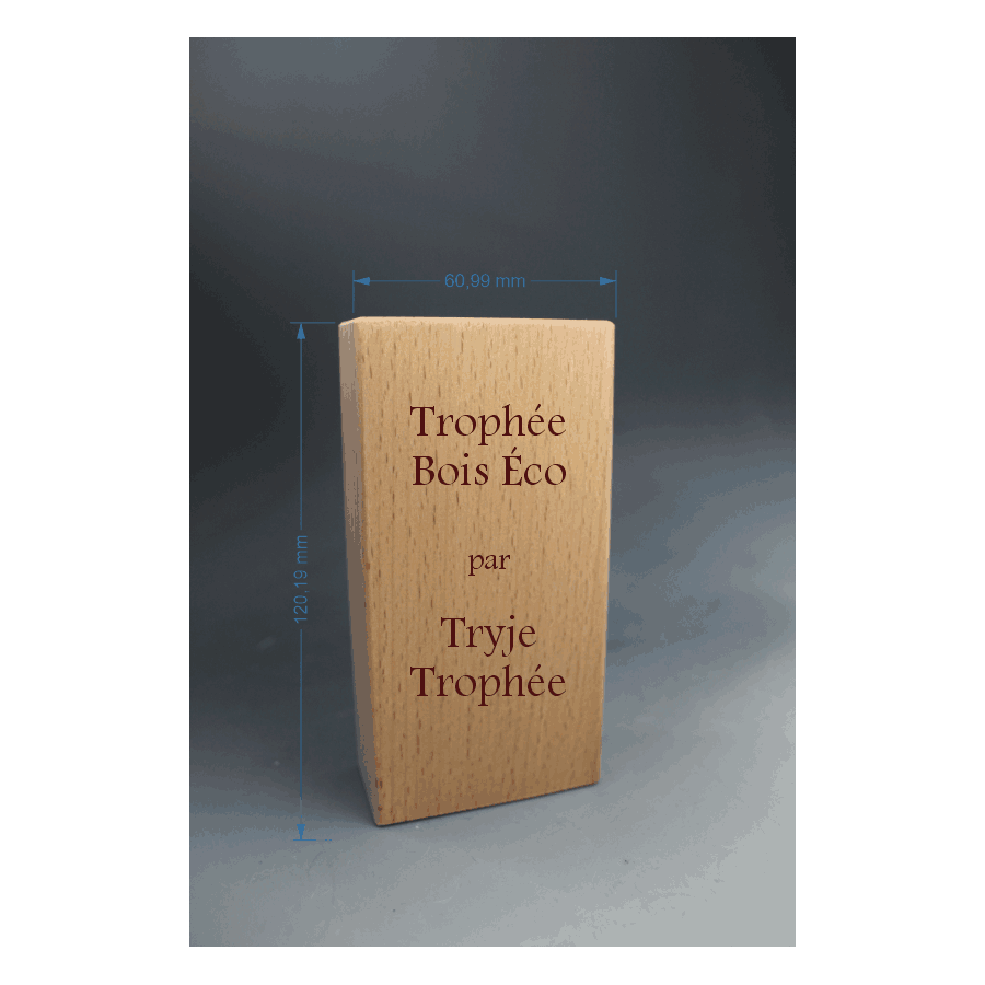 Trophée Bois Éco Tryje-trophée