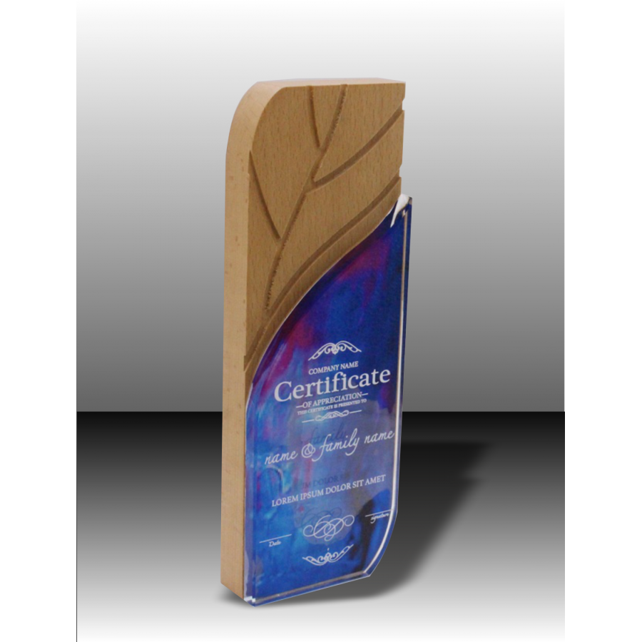 Trophée Bois Noé Tryje-trophée