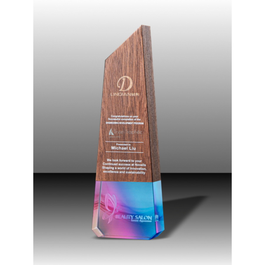 Trophée Bois Noé Tryje-trophée