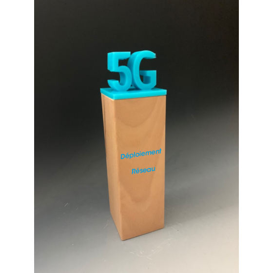 Trophée Bois Noé Tryje-trophée