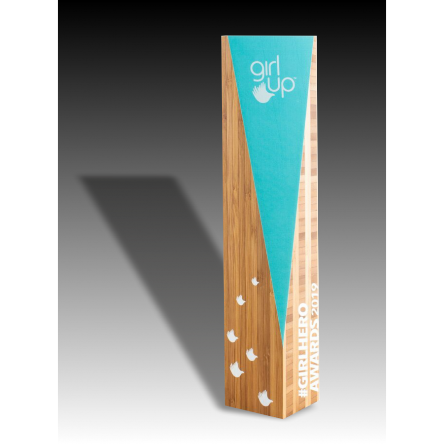 Trophée Bois Noé Tryje-trophée