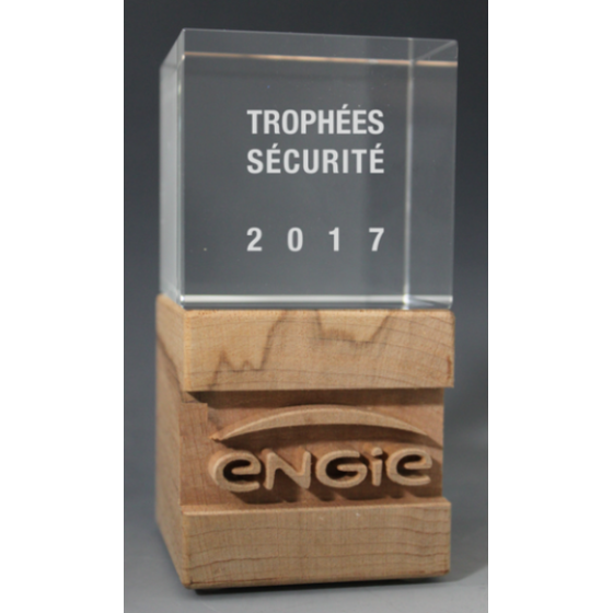 Trophée Bois Noé Tryje-trophée