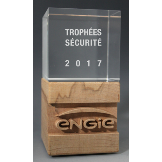 Trophée Bois SUR-MESURE Tryje-trophée