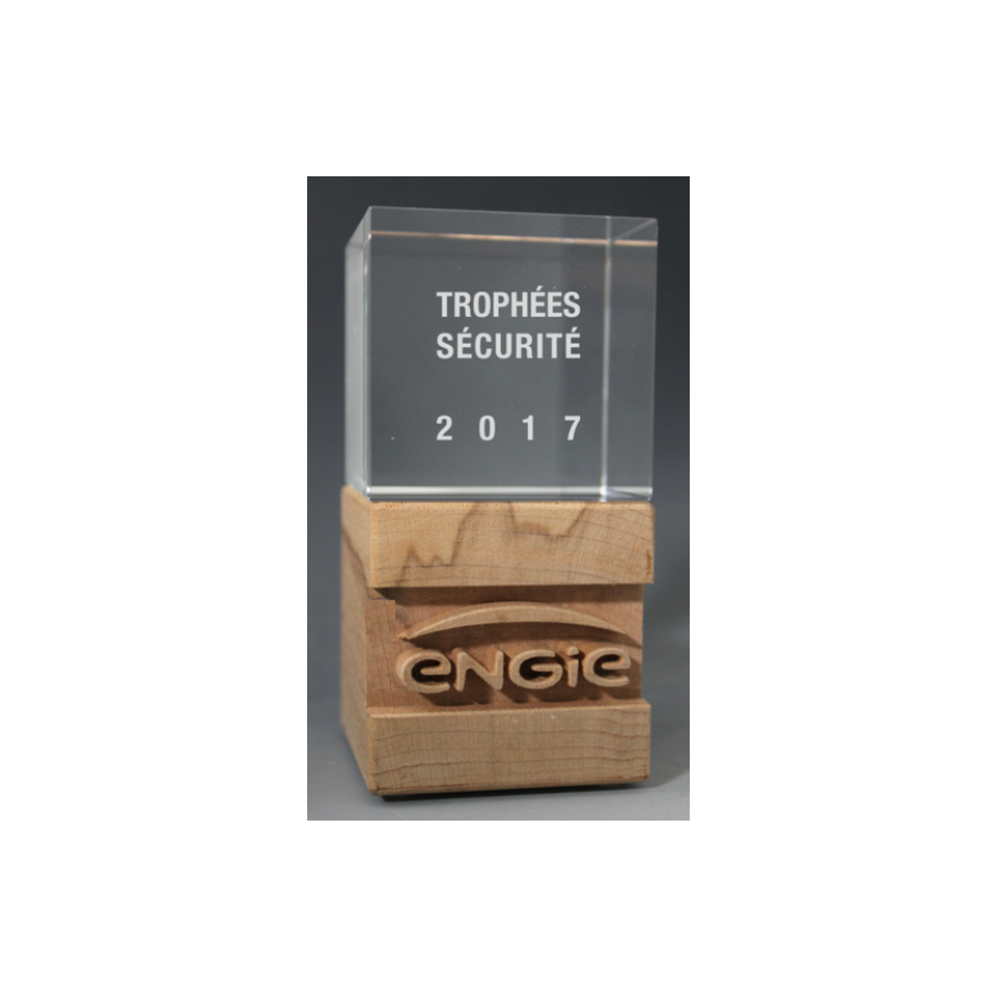 Trophée Bois Noé Tryje-trophée