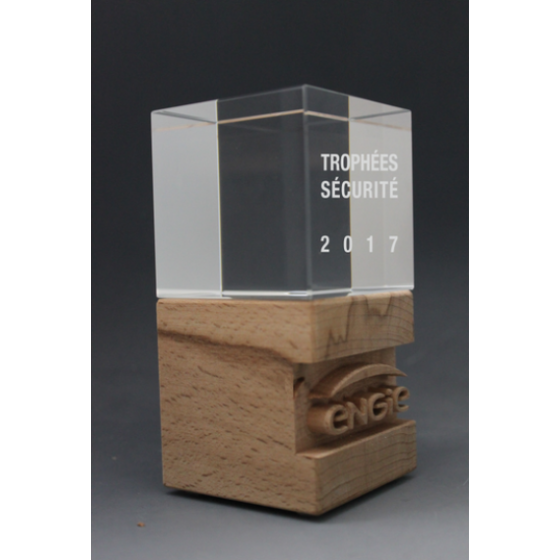 Trophée Bois Noé Tryje-trophée