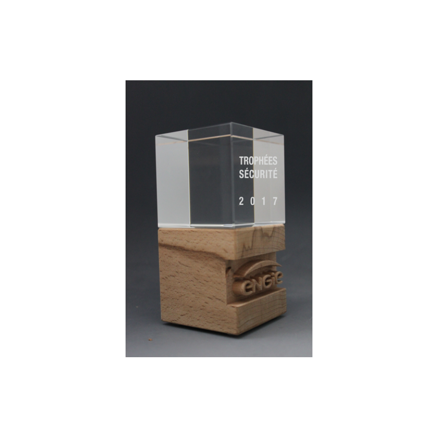 Trophée Bois Noé Tryje-trophée