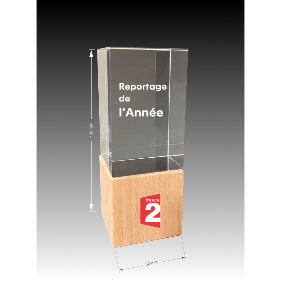 Trophée verre bois BEN Tryje-trophée