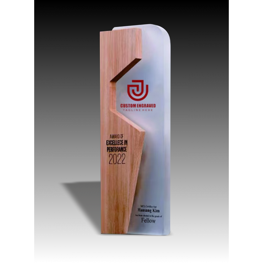 Trophée Bois Noé Tryje-trophée