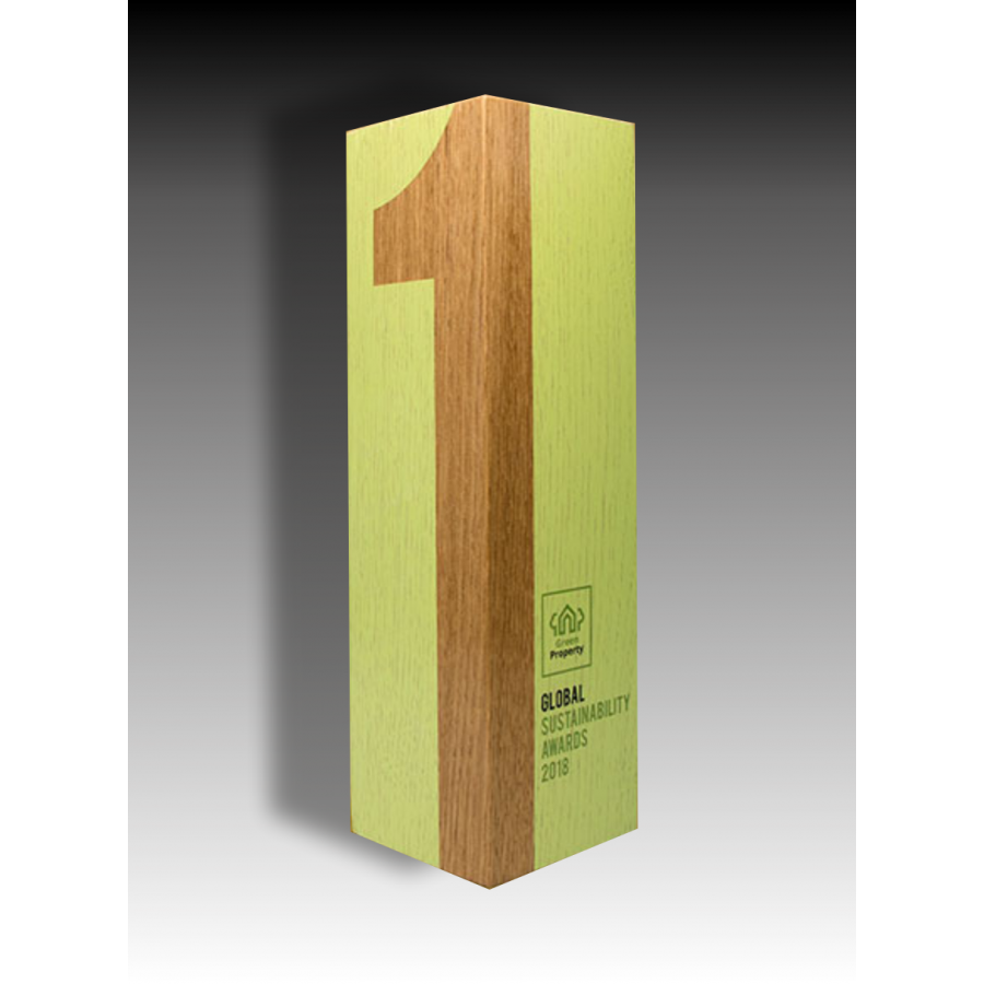 Trophée Bois Noé Tryje-trophée