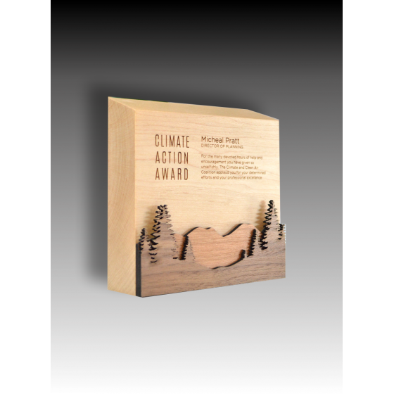 Trophée Bois Noé Tryje-trophée