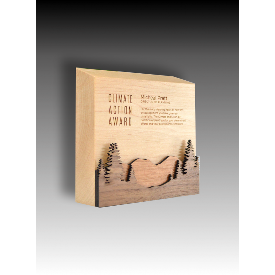 Trophée Bois Noé Tryje-trophée