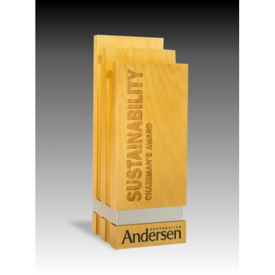 Trophée Bois Noé Tryje-trophée