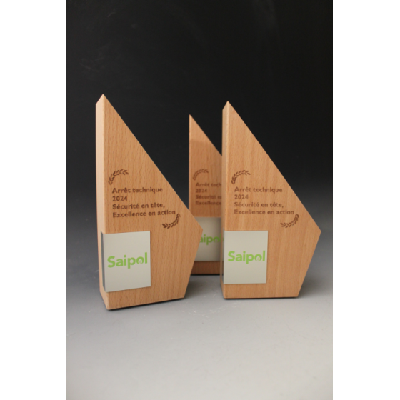 Trophée Bois Noé Tryje-trophée