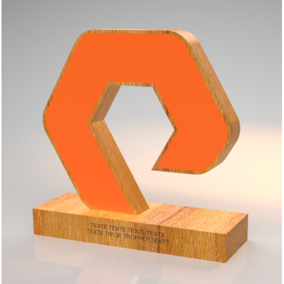 Trophée Bois Noé Tryje-trophée