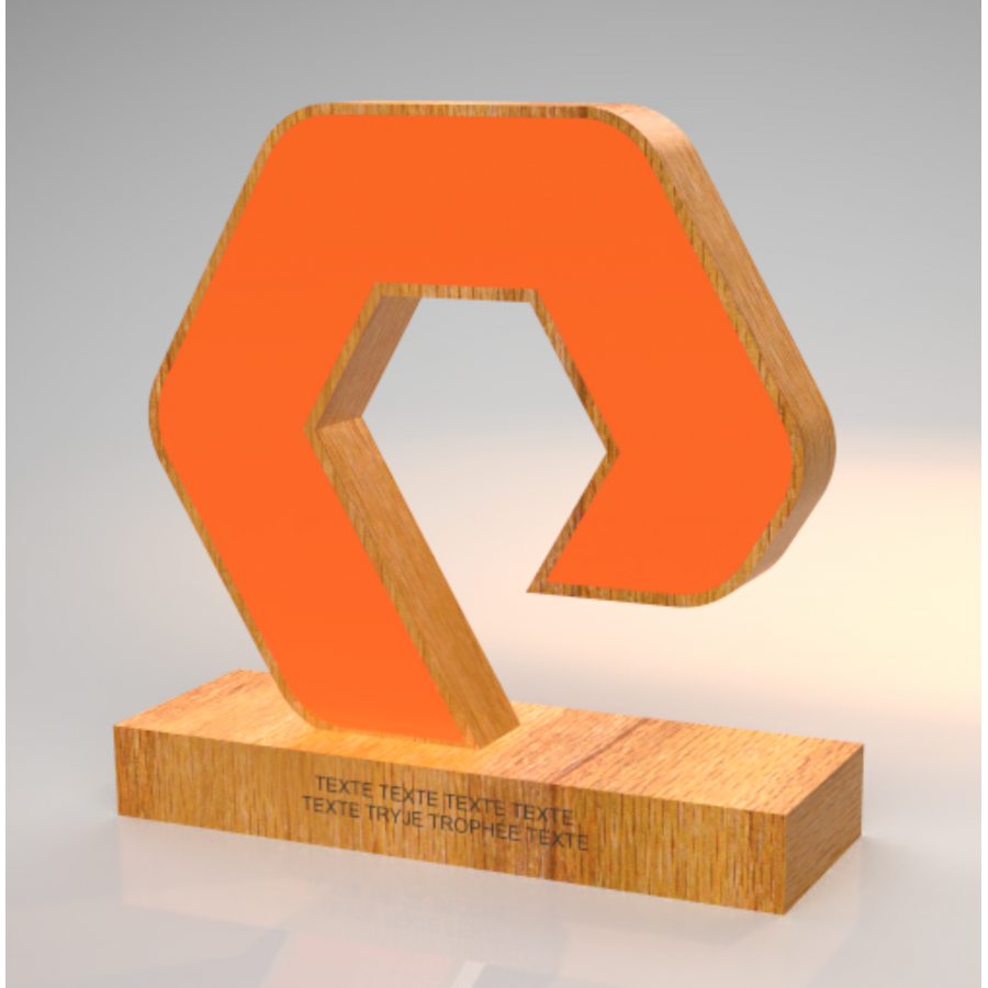 Trophée Bois Noé Tryje-trophée