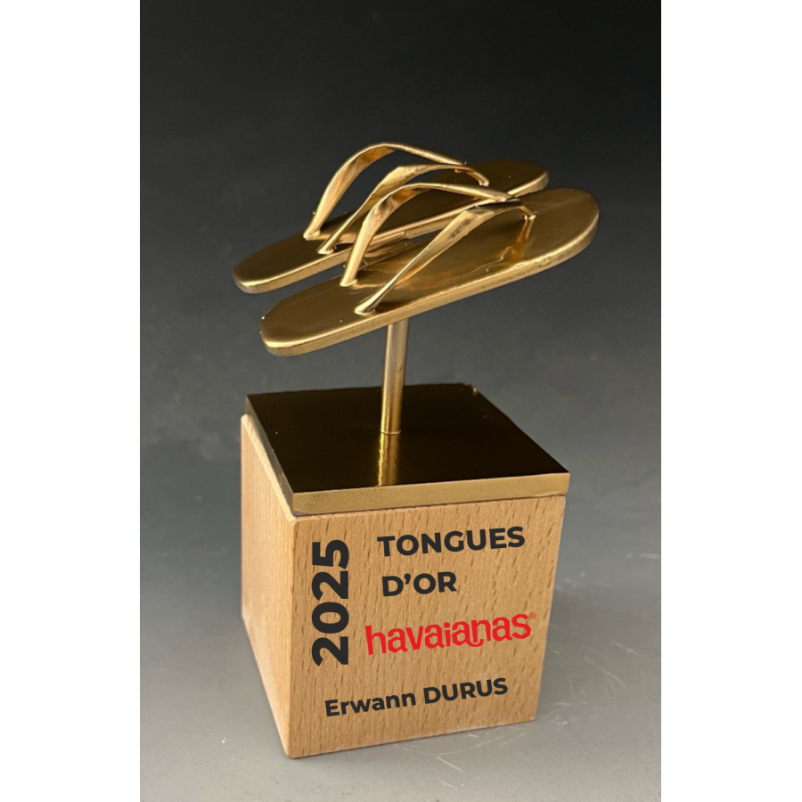 Trophée VOTRE LOGO 3D Tryje-trophée