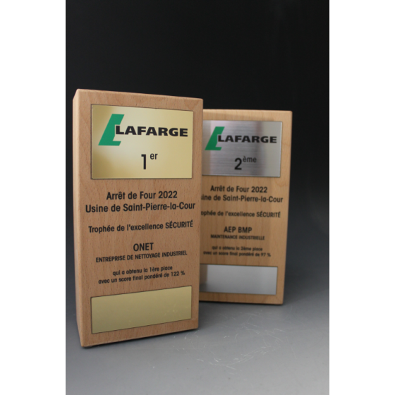 Trophée Bois Noé Tryje-trophée