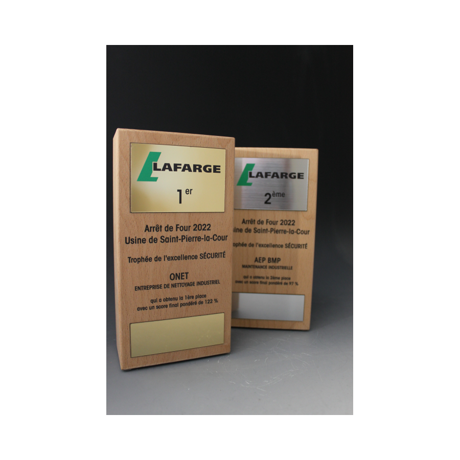 Trophée Bois Noé Tryje-trophée