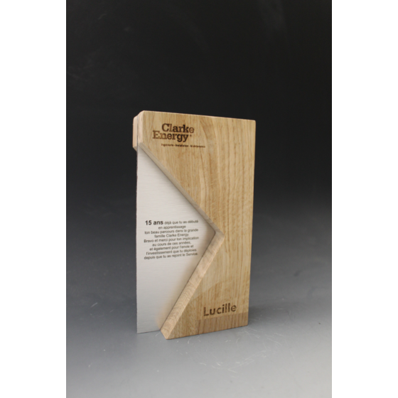 Trophée Bois SINA Tryje-trophée