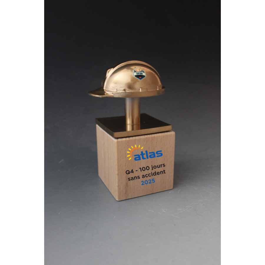 Trophée Casque chantier 3D Tryje-trophée