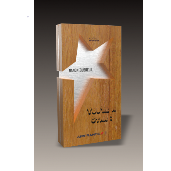 Trophée Bois BE STAR Tryje-trophée