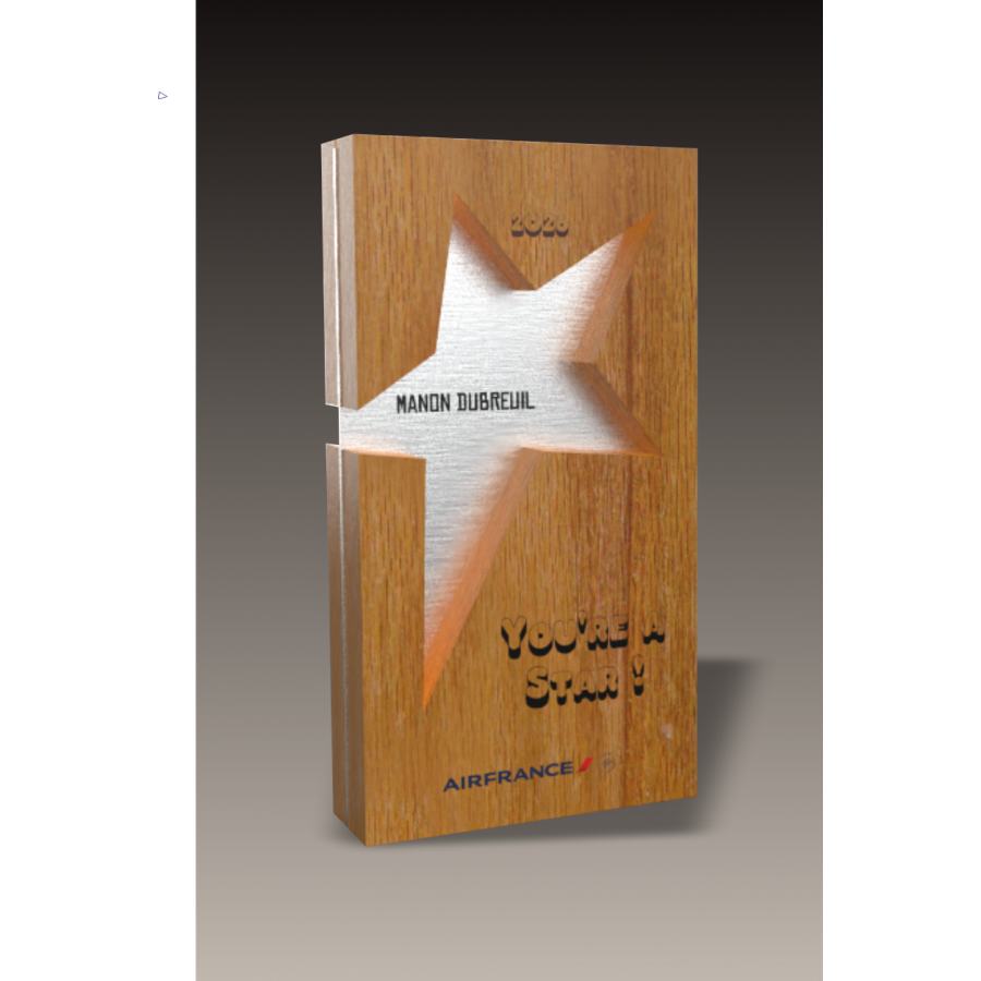 Trophée Bois BE STAR Tryje-trophée