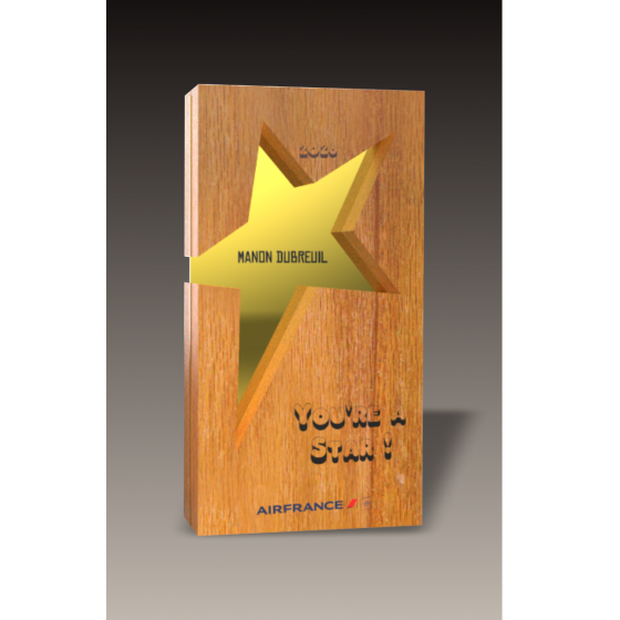 Trophée Bois BE STAR Tryje-trophée
