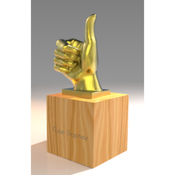 Trophée Bois GoodJob Tryje-trophée