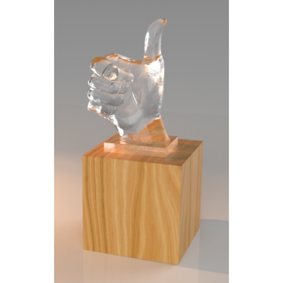 Trophée Bois GOODJOB Tryje-trophée