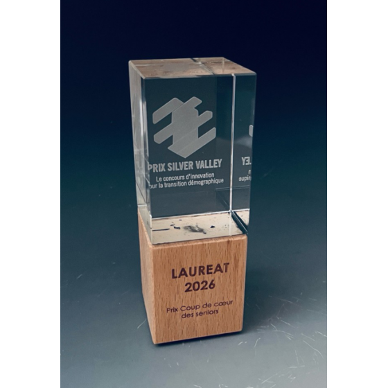 Trophée verre bois BEN Tryje-trophée
