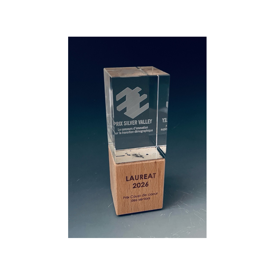 Trophée verre bois BEN Tryje-trophée