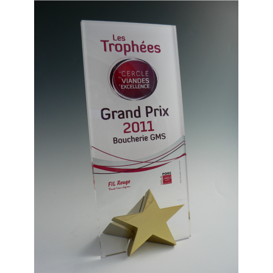 Trophée plexiglass étoile rectangle Tryje-trophée
