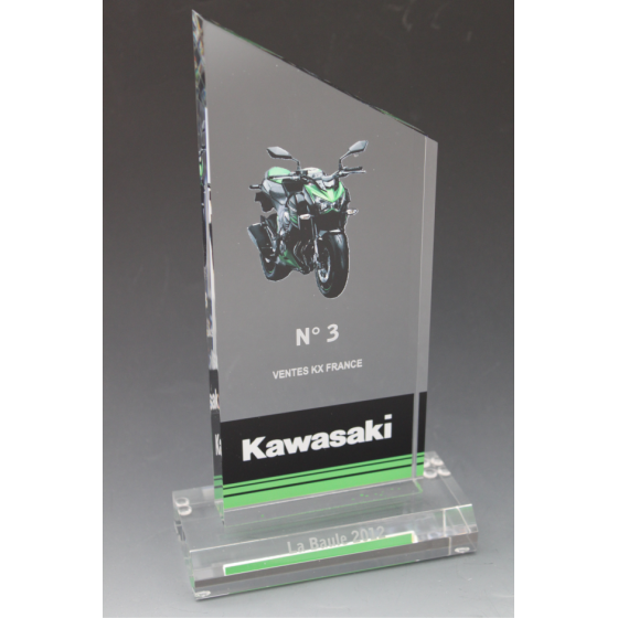 Trophée plexiglass peak Tryje-trophée