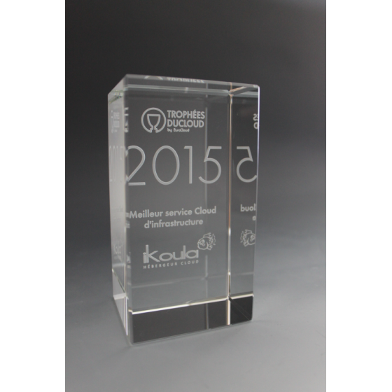 Bloc en verre 10X5X5CM Tryje-trophée