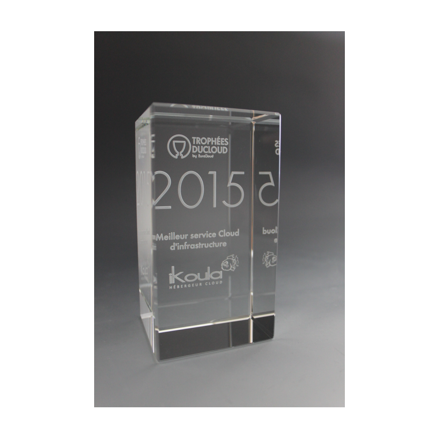 Bloc en verre 10X5X5CM Tryje-trophée