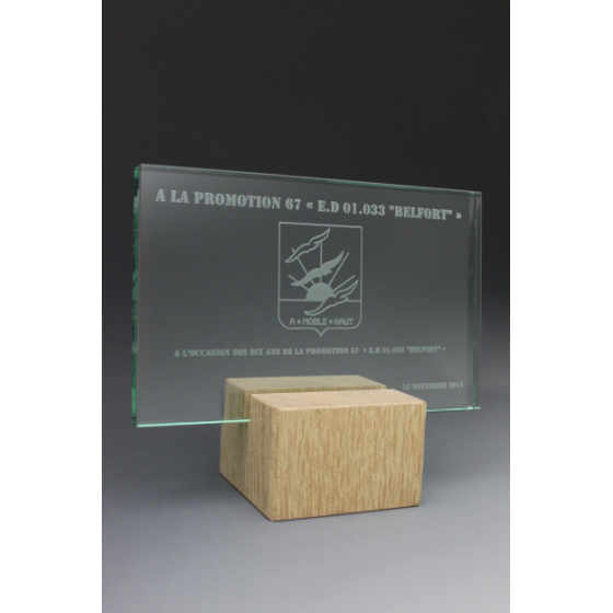 Trophée bois verre rectangle Tryje-trophée