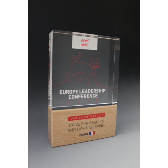 trophée PLEXI CARRE DUO Tryje-trophée