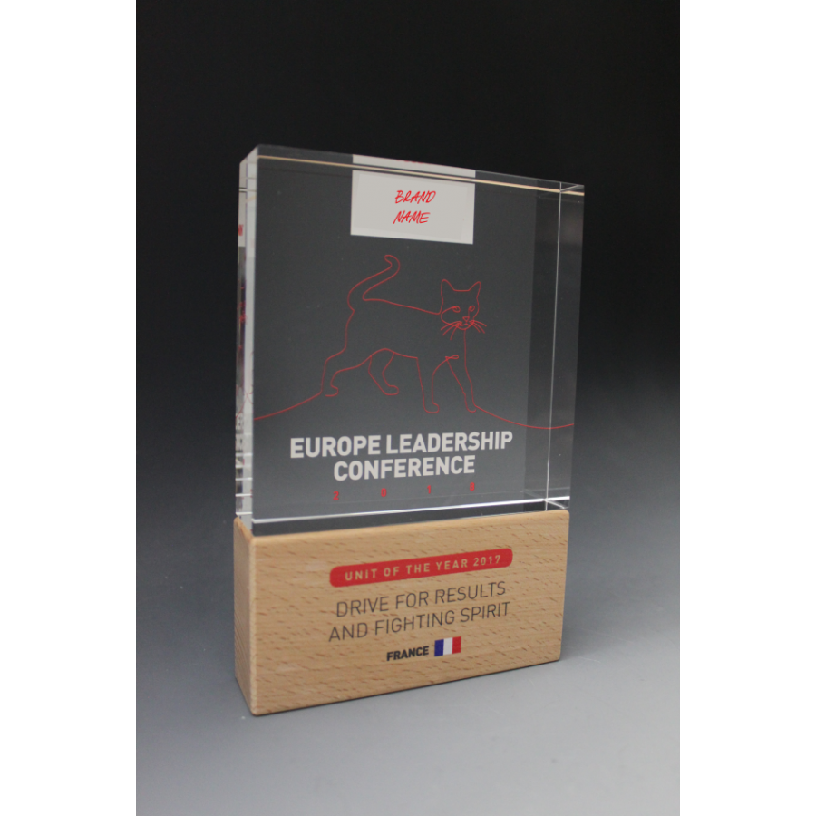 trophée PLEXI CARRE DUO Tryje-trophée